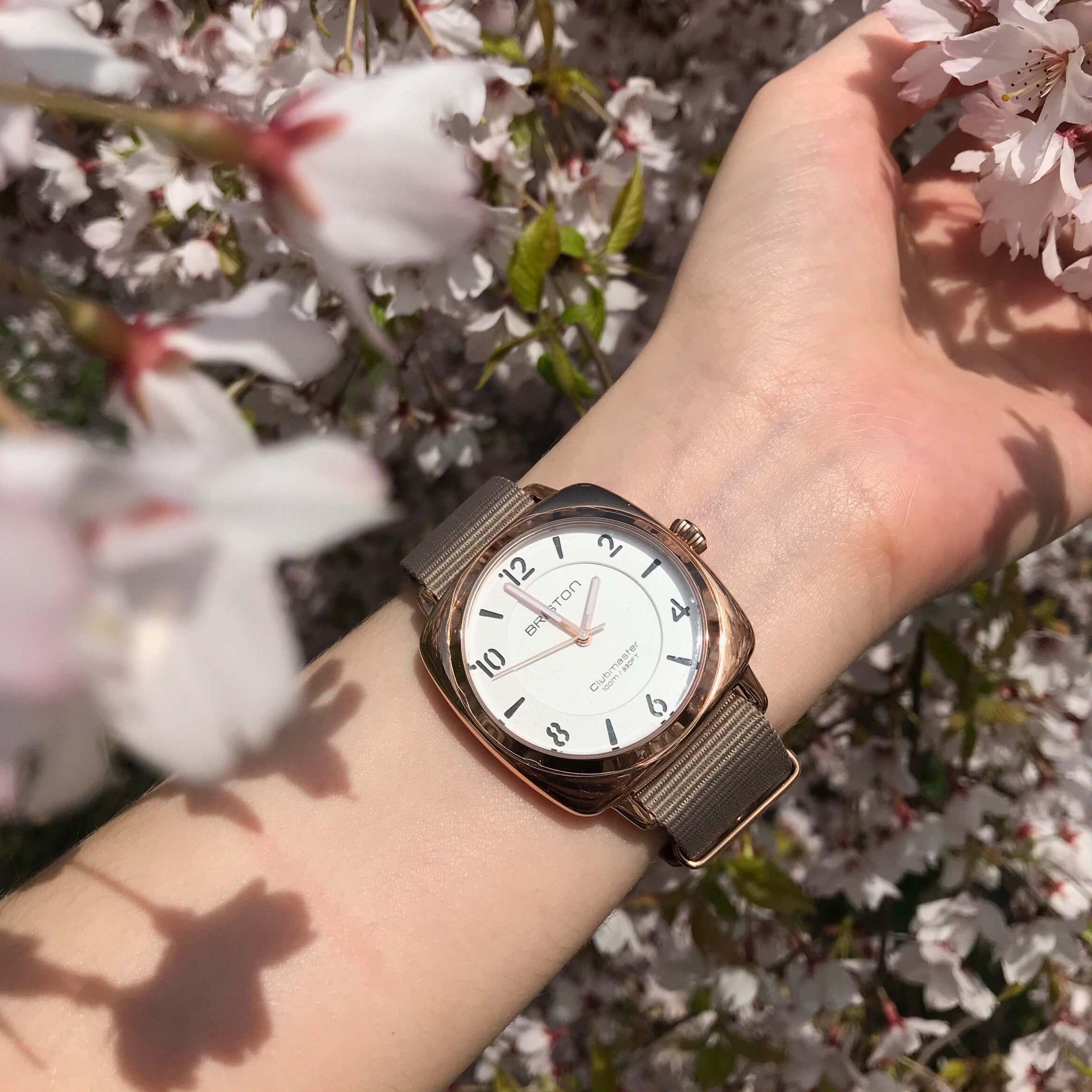 Clubmaster Chic - HMS - Or - Blanc